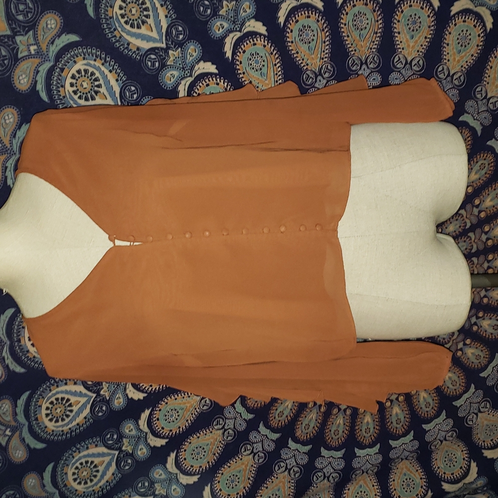 Rust color crop sheer top. Bar lll. Size lrg
